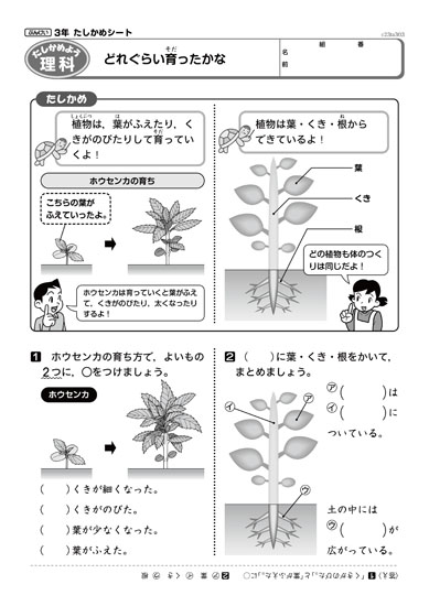 シートダウンロード ぶんけいマイネット